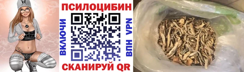 Псилоцибиновые грибы Psilocybe  где можно купить   Омутнинск 